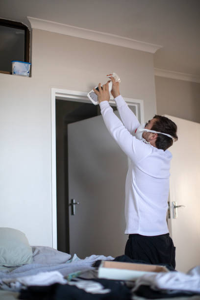 Best Water Damage & Mold Remediation  in Warson Woods, MO